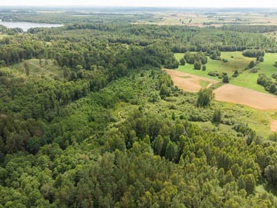 Vilniaus r. sav., Barzdžiūnų k.