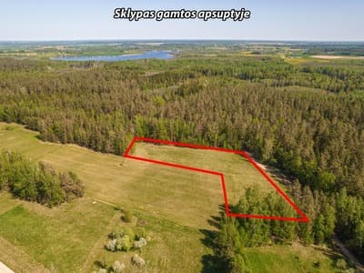 Širvintų r. sav., Kryžiaukos I k.