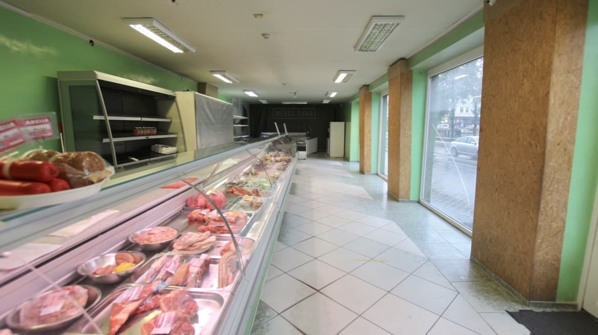 Šakių r. sav., Šakių m., V. Kudirkos g.