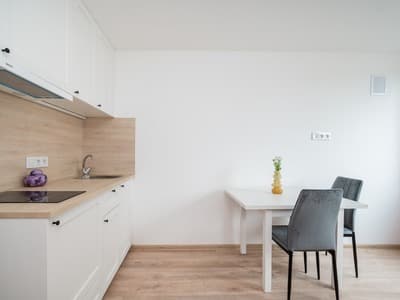 Vilniaus m. sav., Vilniaus m., Naujamiestis, V. Pietario g.