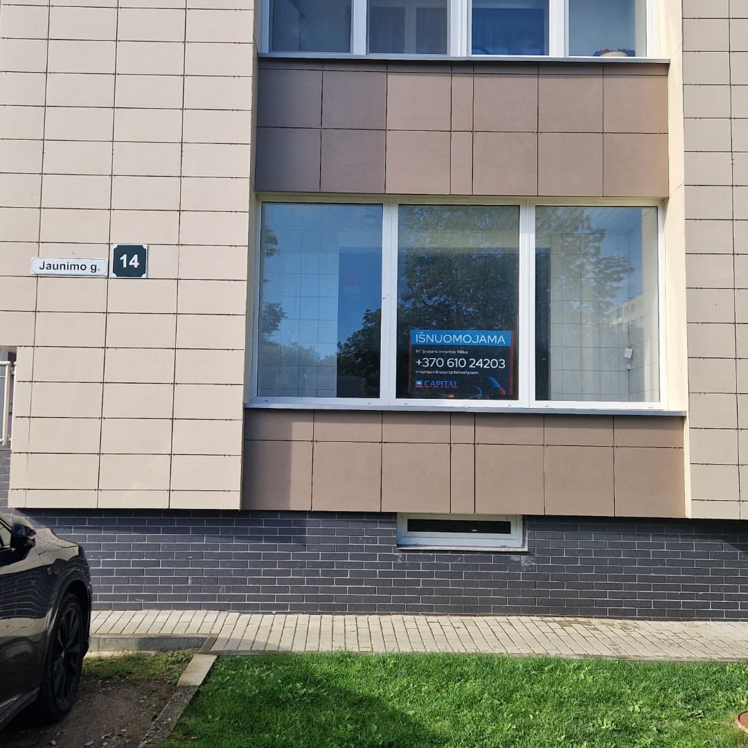 Alytaus m. sav., Alytaus m., Vidzgiris, Jaunimo g.