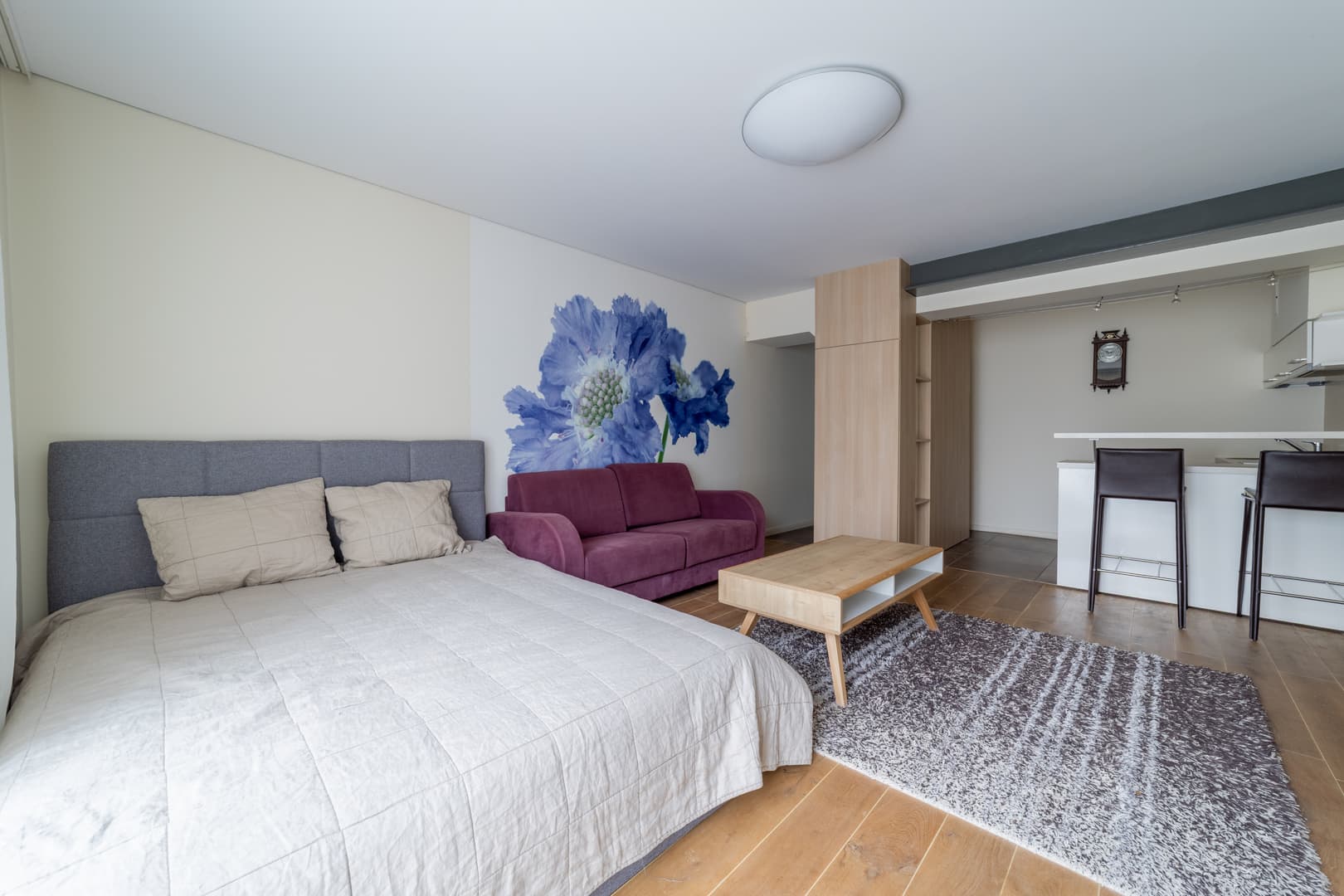 Palangos m. sav., Palangos m., Palanga, A. Mickevičiaus g.