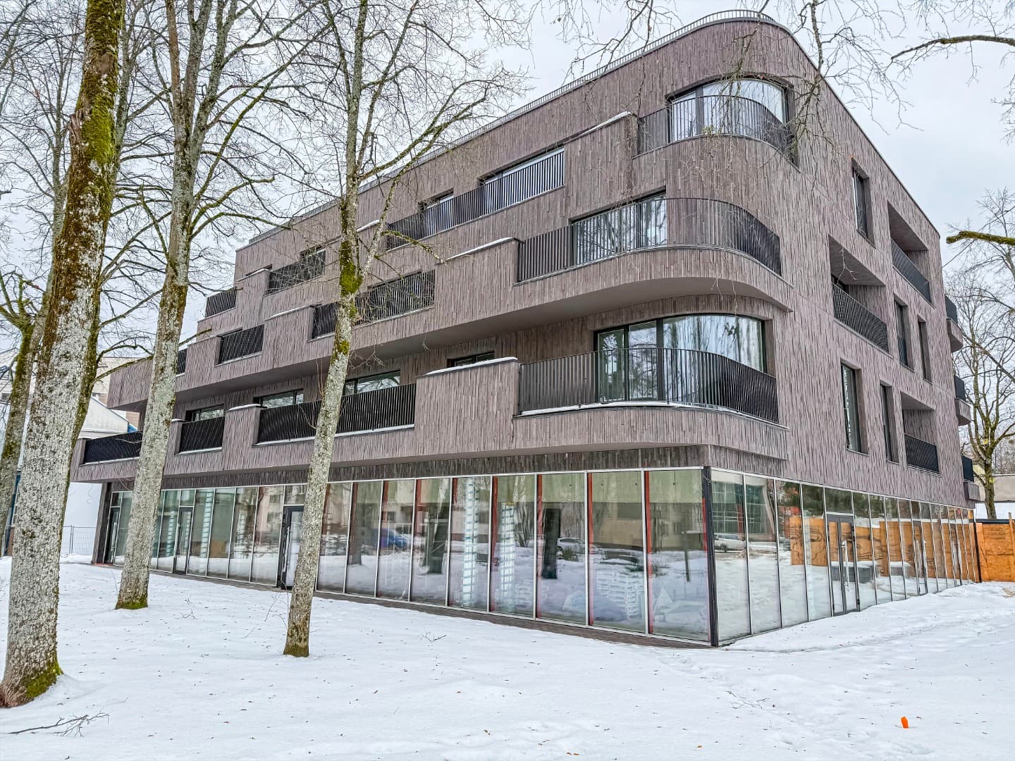 Birštono sav., Birštono m., Jaunimo g.