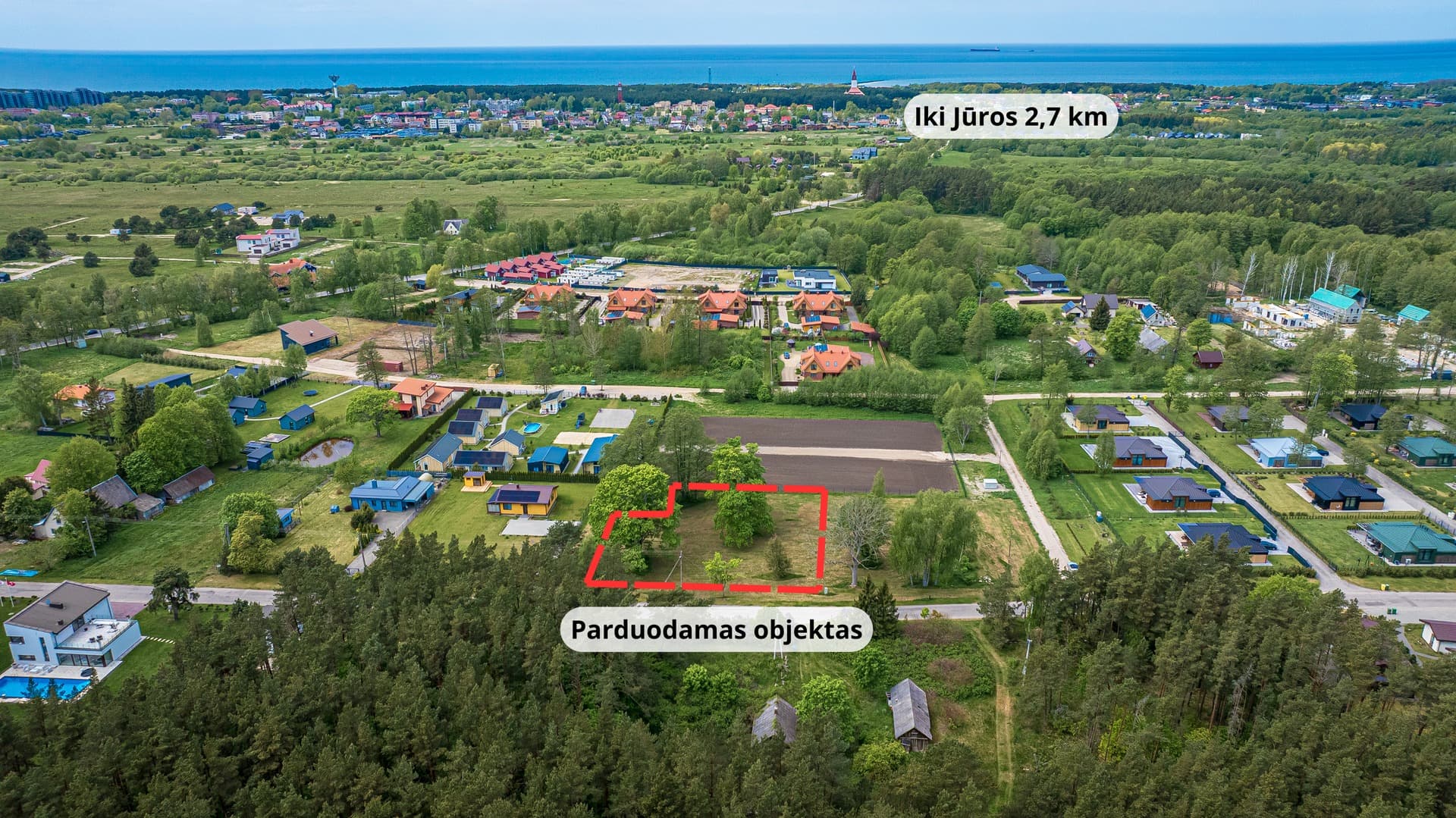 Palangos m. sav., Palangos m., Palanga, Miško tak.