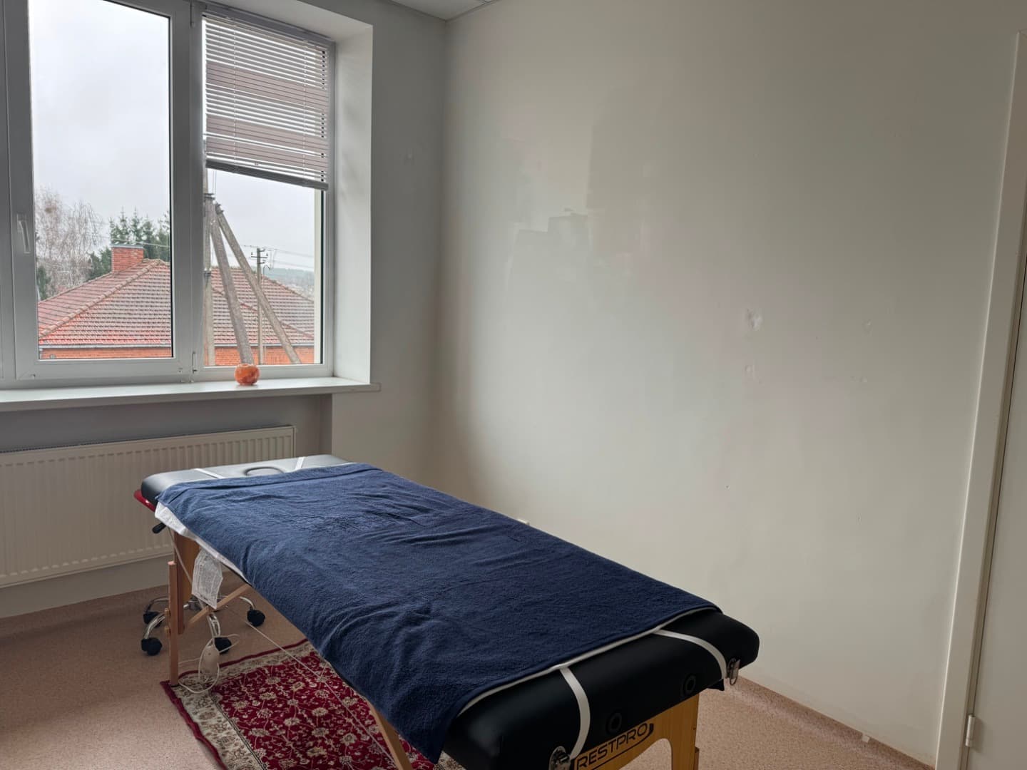 Alytaus m. sav., Alytaus m., Senamiestis, Lelijų g.