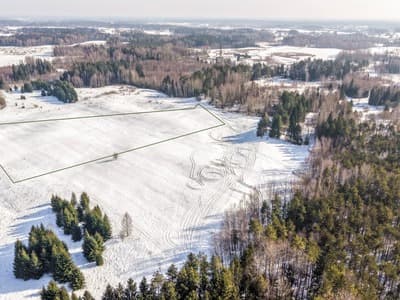 Vilniaus r. sav., Aleksandravėlės vs.