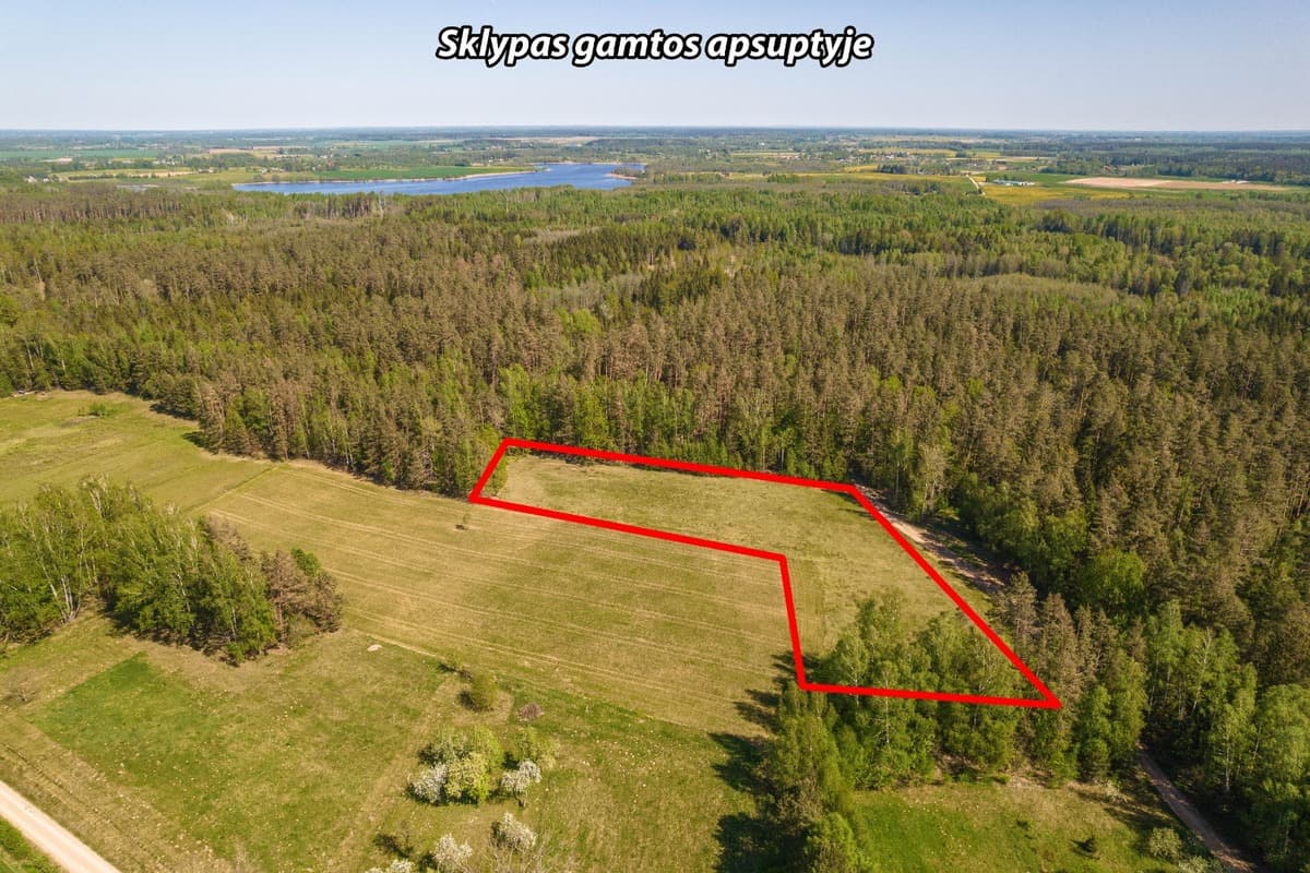 Širvintų r. sav., Kryžiaukos I k.
