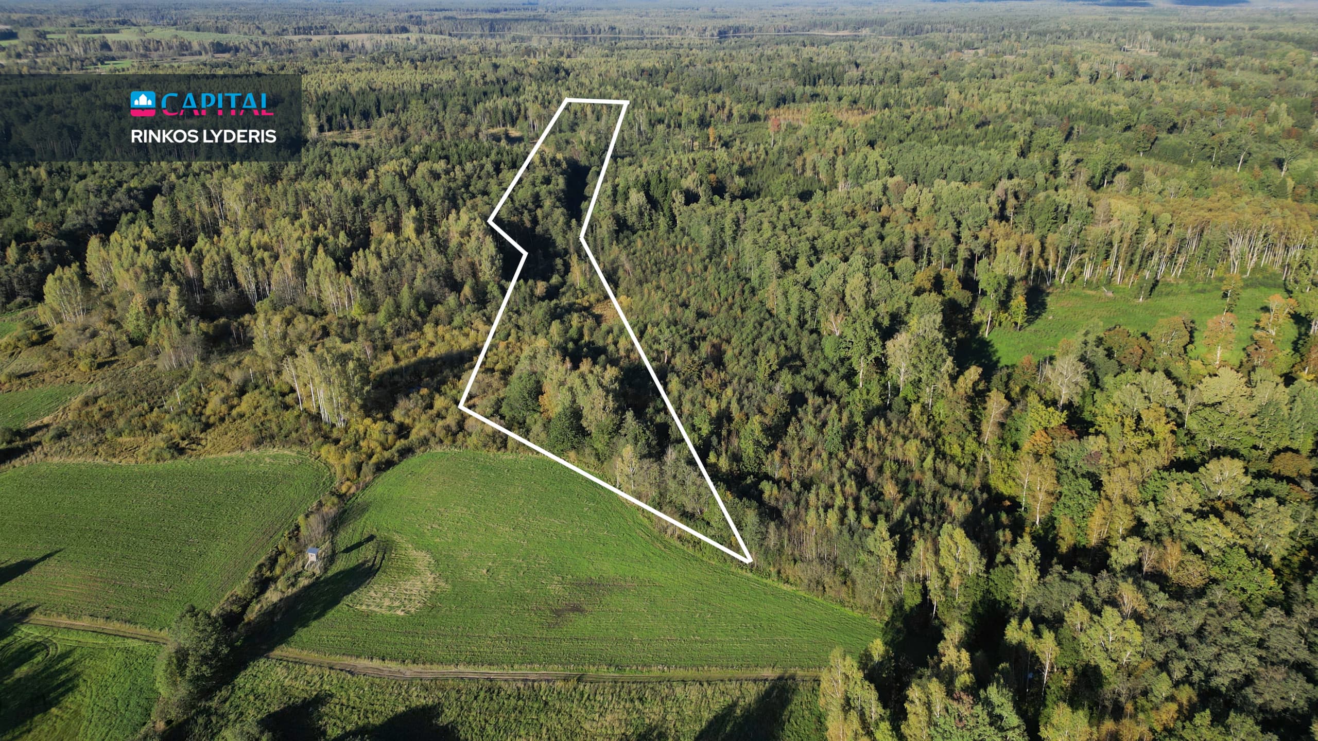 Vilniaus r. sav., Barzdžiūnų k.